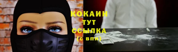 apvp Белокуриха