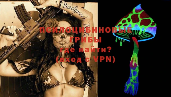 apvp Белокуриха