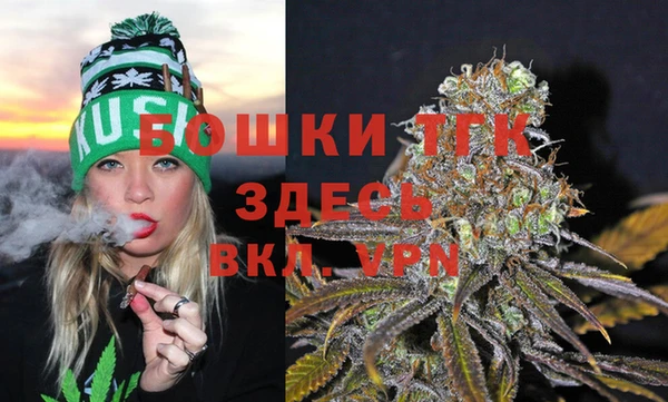 apvp Белокуриха